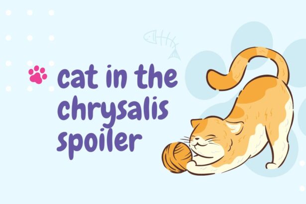 cat in the chrysalis spoiler