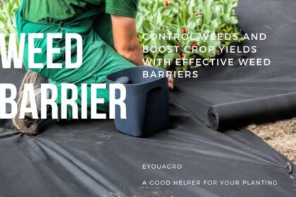 https://conservationgardenpark.org/blog/354/why-weed-barrier-fabric-is-a-weed