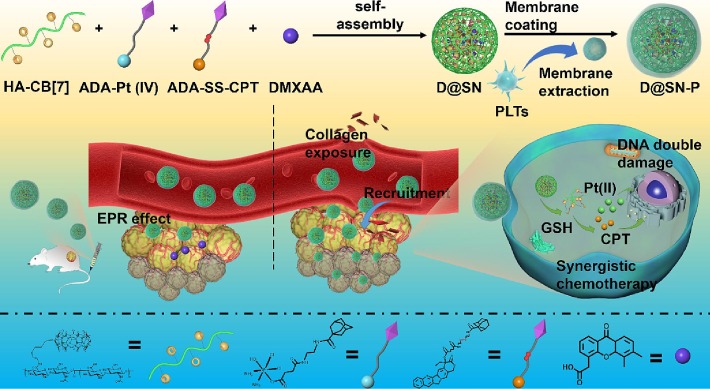 https://www.sciencedirect.com/science/article/abs/pii/s2352492823006505